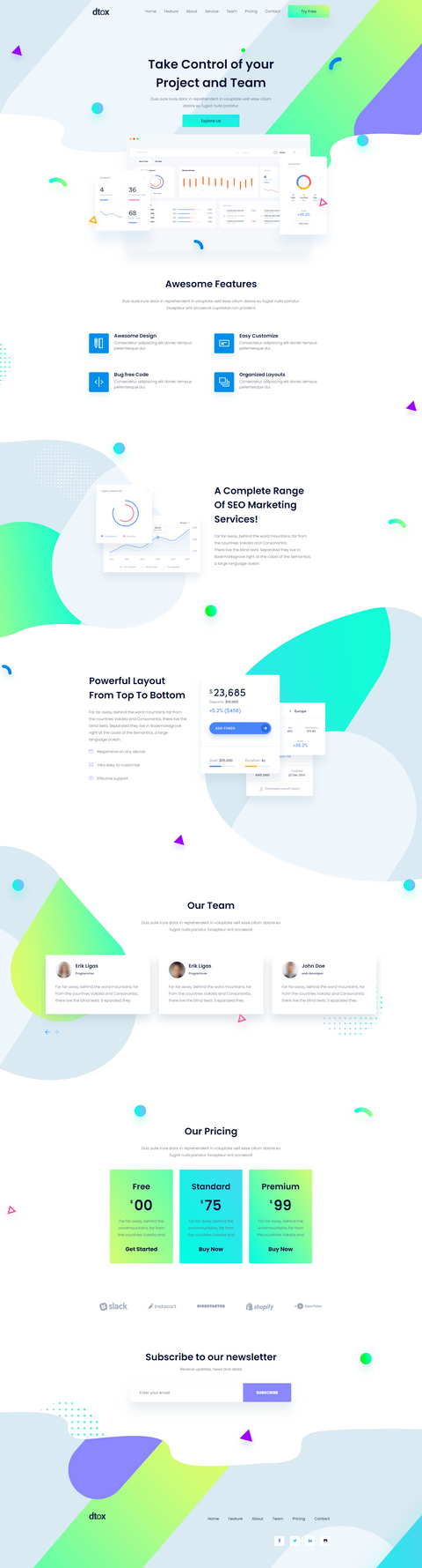PROJECT TEAM